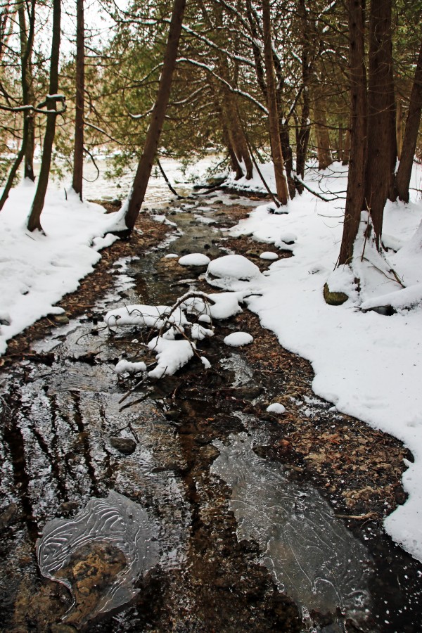 Winter Creek III by Deb Oppermann